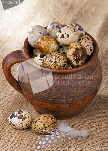 Image of quail eggs