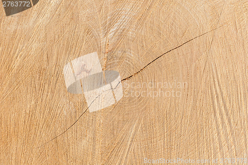 Image of Close-up wooden texture