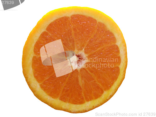 Image of Orange isolated