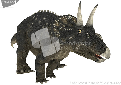 Image of Dinosaur Diceratops