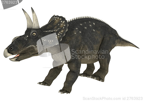 Image of Dinosaur Diceratops