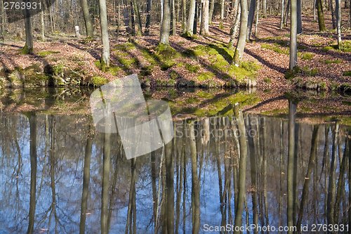 Image of lakeside scenery