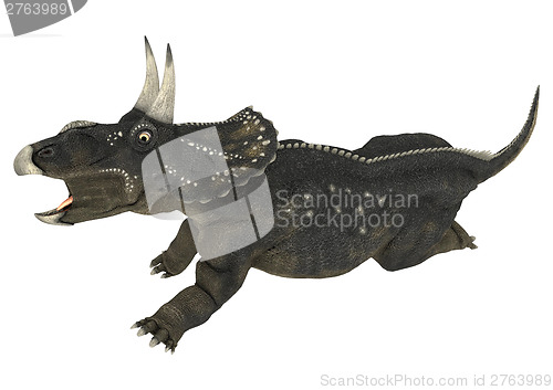 Image of Dinosaur Diceratops