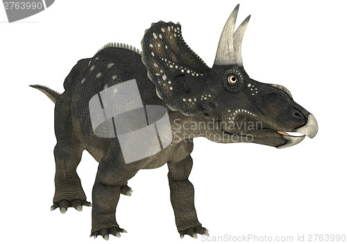 Image of Dinosaur Diceratops