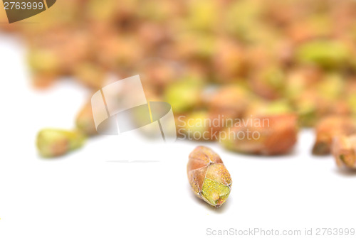 Image of black currant buds