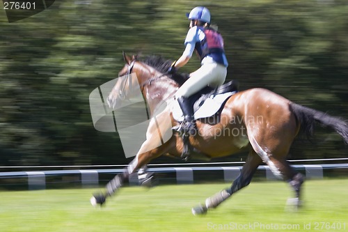 Image of Racing horse