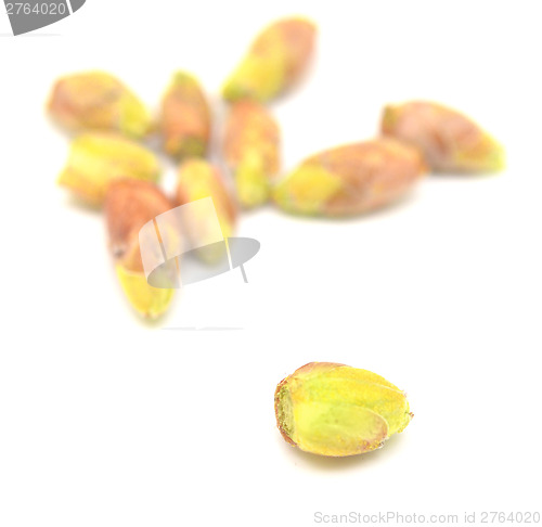 Image of black currant buds