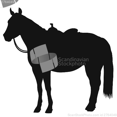 Image of Western Horse Silhouette