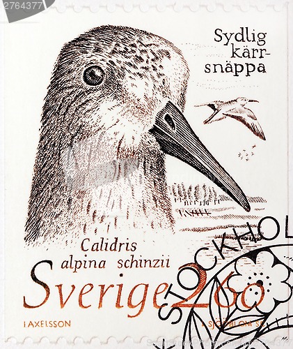 Image of Dunlin Stamp