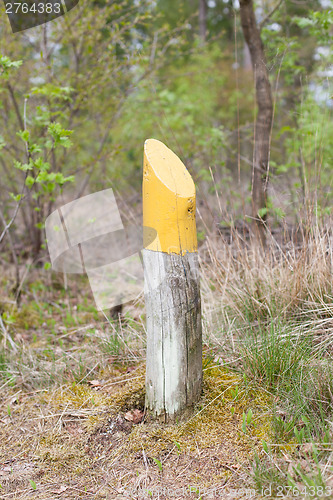 Image of Yellow marking at a walking path