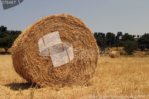 Image of Haystack