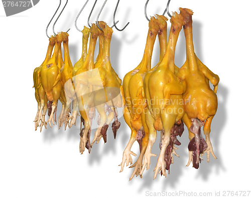 Image of hanging chicken