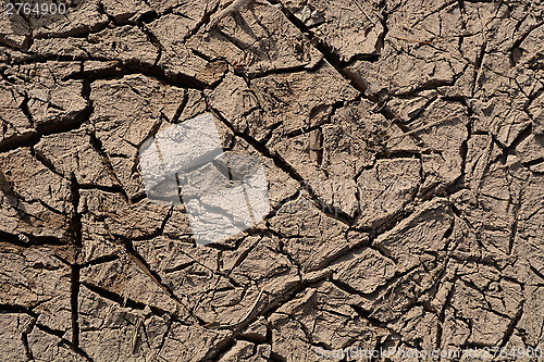Image of  Dried cracked earth