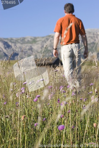 Image of Hiker