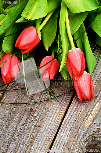 Image of Spring Tulips
