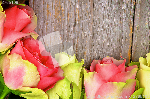 Image of Frame of Roses