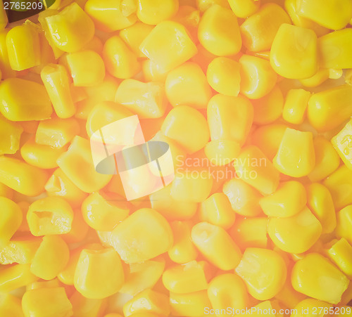 Image of Retro look Maize corn