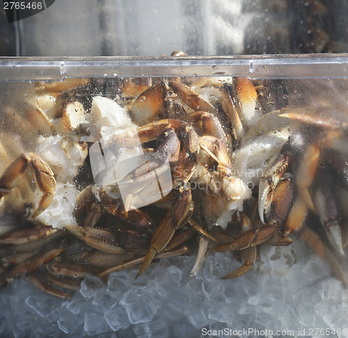 Image of Alaskan King Crab On Ice 