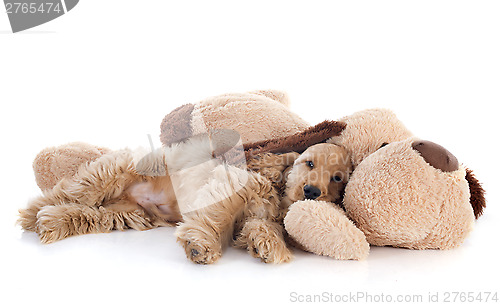 Image of puppy cocker spaniel and toy