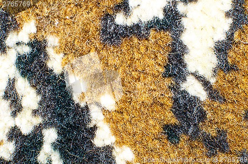 Image of Fragment of the pattern carpet