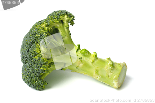 Image of Fresh green broccoli on white