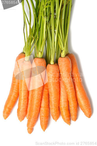 Image of Bunch of carrots