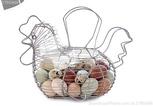 Image of eggs basket