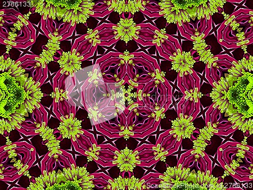 Image of Chrysanthemum natural pattern