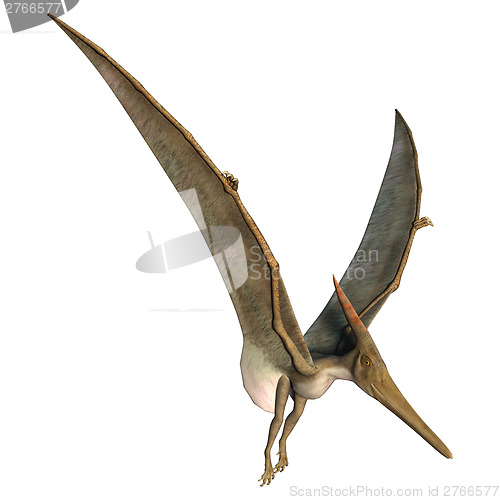 Image of Landing Pteranodon