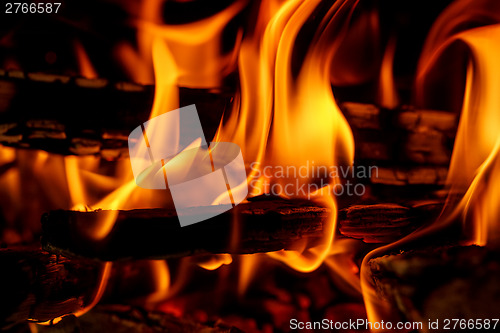 Image of firewood burning in fireplace