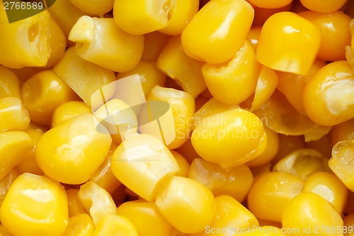 Image of Close up yellow sweet corn