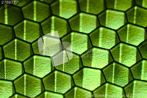 Image of Honeycomb pattern