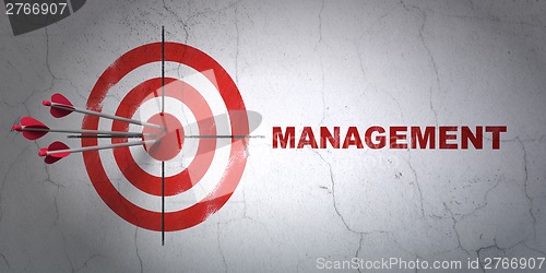 Image of Finance concept: target and Management on wall background