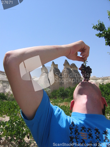 Image of Man eating grapes in nature