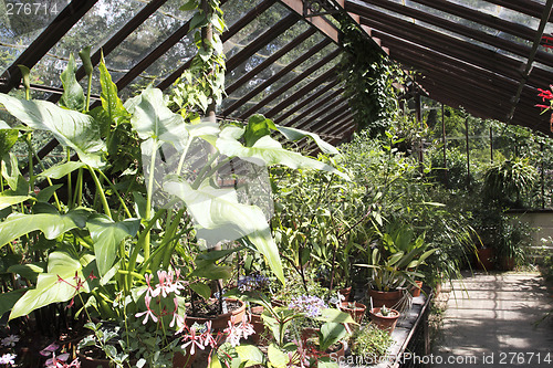 Image of view inside a glasshouse