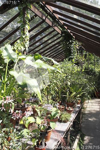 Image of view inside a glasshouse