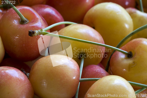 Image of Life Is a Bowl of Cherries