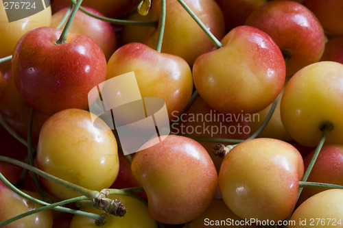 Image of Life Is a Bowl of Cherries