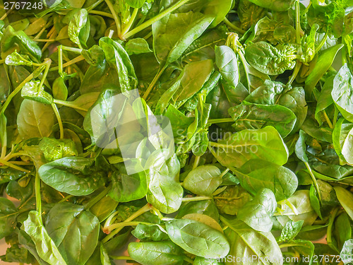 Image of Spinach leaves