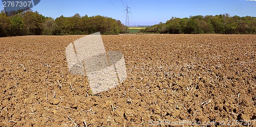 Image of Agricultural land