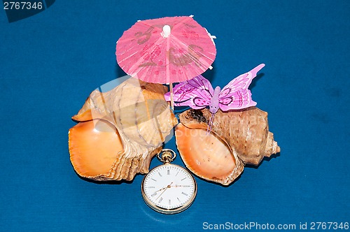 Image of Seashell and watches