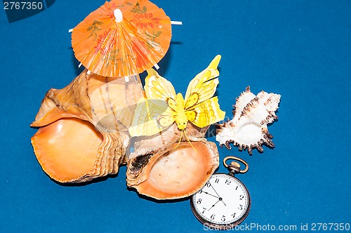 Image of Seashell and watches