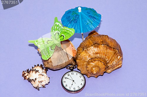 Image of Seashell and watches