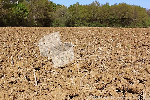 Image of Agricultural land