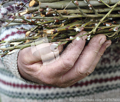 Image of Old man hand