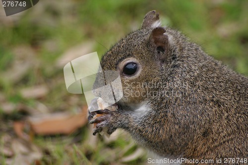 Image of Up close and personal