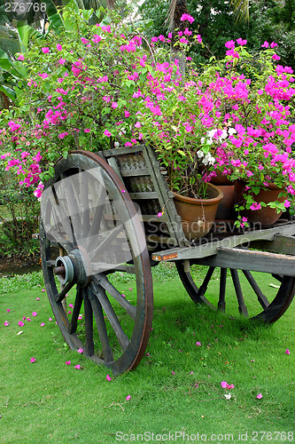 Image of cart with full purple flower