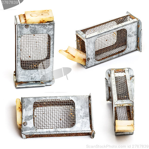 Image of Bee cage