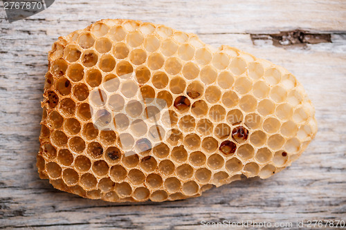 Image of Honeycomb