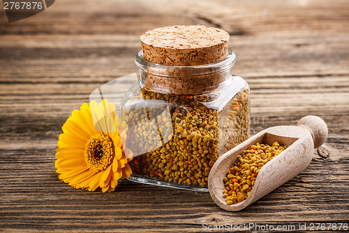 Image of Flower pollen